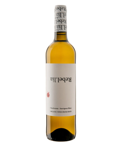 Spanien, Utiel Requena, Bodegas Vegalfaro, Rebel
